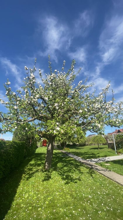 Grosszügige 5-Zimmer-Maisonettewohnung mit Garten und traumhafter Seesicht 43