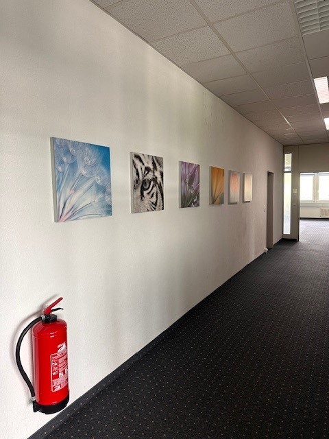 Kleinflächen mit Weitsicht zu vermieten 2