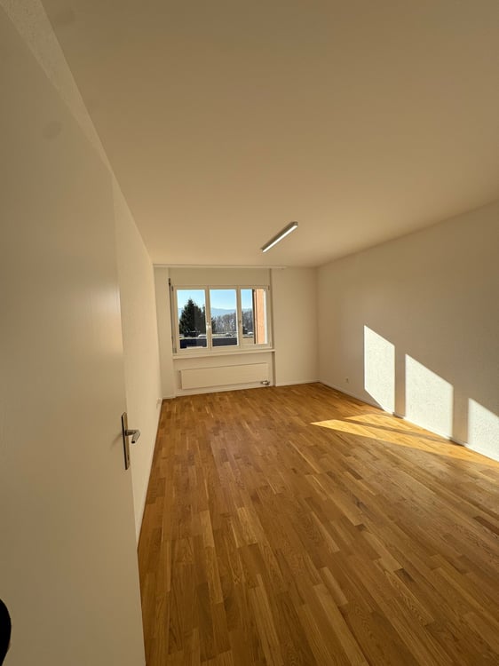 Neu renovierte 4.5-Zimmerwohnung in Zürich-Höngg mit Weitsicht 5