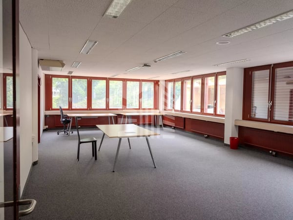 Local commercial avec 19 places de parking 4