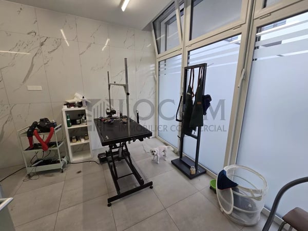 Arcade commerciale de 75 m² avec importante visibilité 6