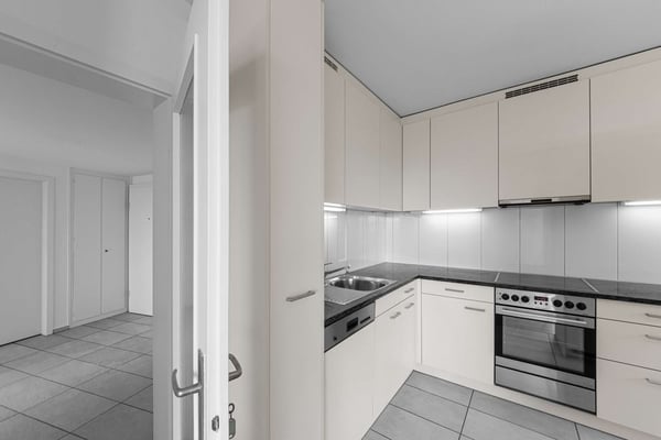 Über den Dächern von Basel 2