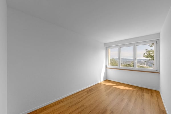 Über den Dächern von Basel 8