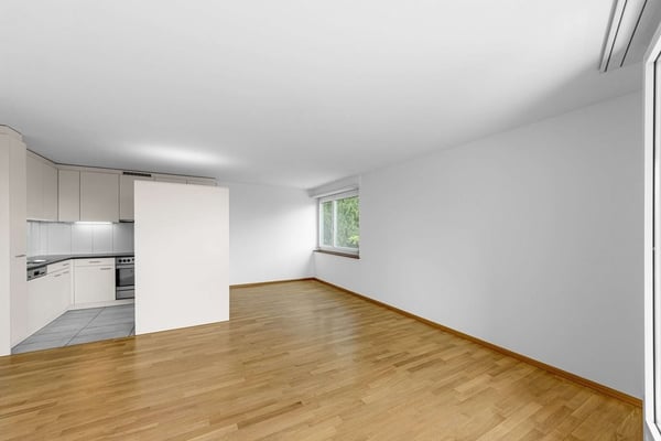 Über den Dächern von Basel 4