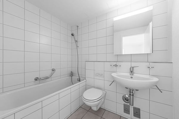 Über den Dächern von Basel 5