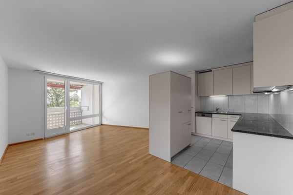 Über den Dächern von Basel 3