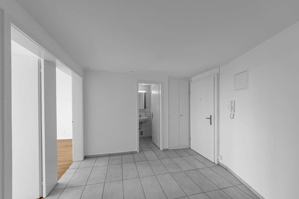 Über den Dächern von Basel 6