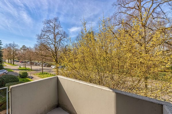 Ruhiges Wohnquartier in Riehen 6