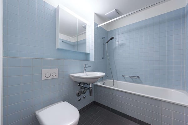 Ruhige Wohnlage nähe Universität Basel 3