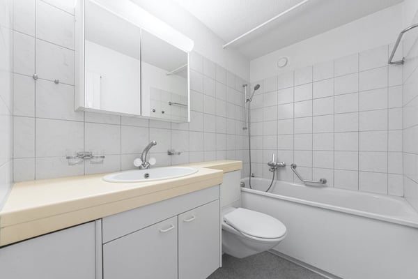 Gemütliche 1 Zimmer-Wohnung in Birsfelden gesucht? 4