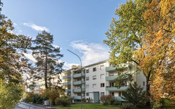 Gemütliches Wohnen in Birsfelden 1