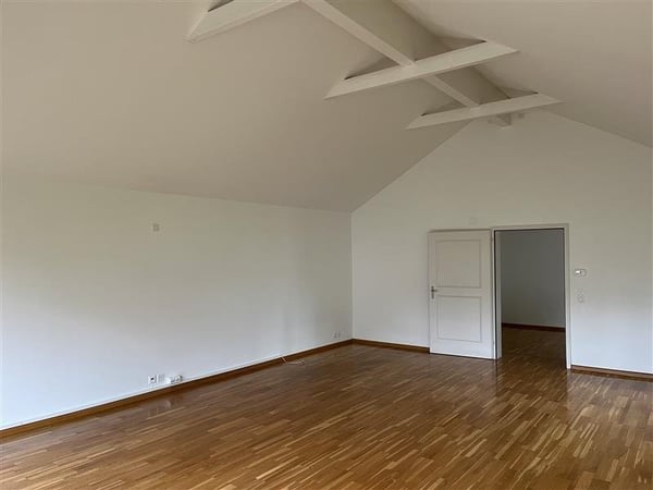 Jetzt zuschlagen, erster Monat gratis mieten! Gewerberaum in Pratteln 4