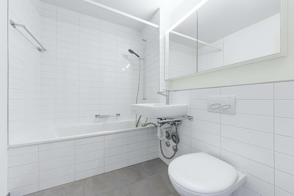Helle und moderne Wohnung in der Nähe vom Dreiländereck 2