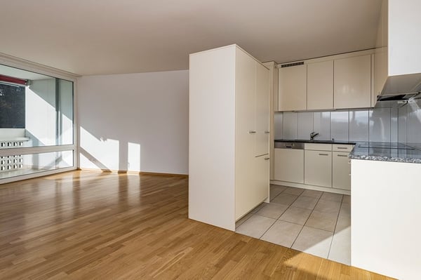 Über den Dächern von Basel 3