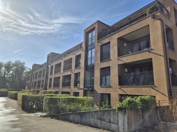 Grosszügige 4.5-Zimmer-Maisonettewohnung in Allschwil 1
