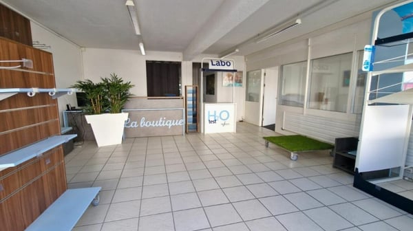 IDEAL POUR COMMERCE/SHOWROOM/ARTISANT 1