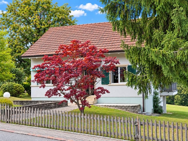 Einfamilienhaus mit Weitblick & Entwicklungspotenzial auf 980 m² 5