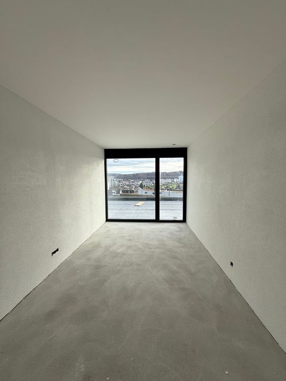 Neubau 4.5-Zi.-Wohnung mit 130 m2 Panorama Terrasse 8