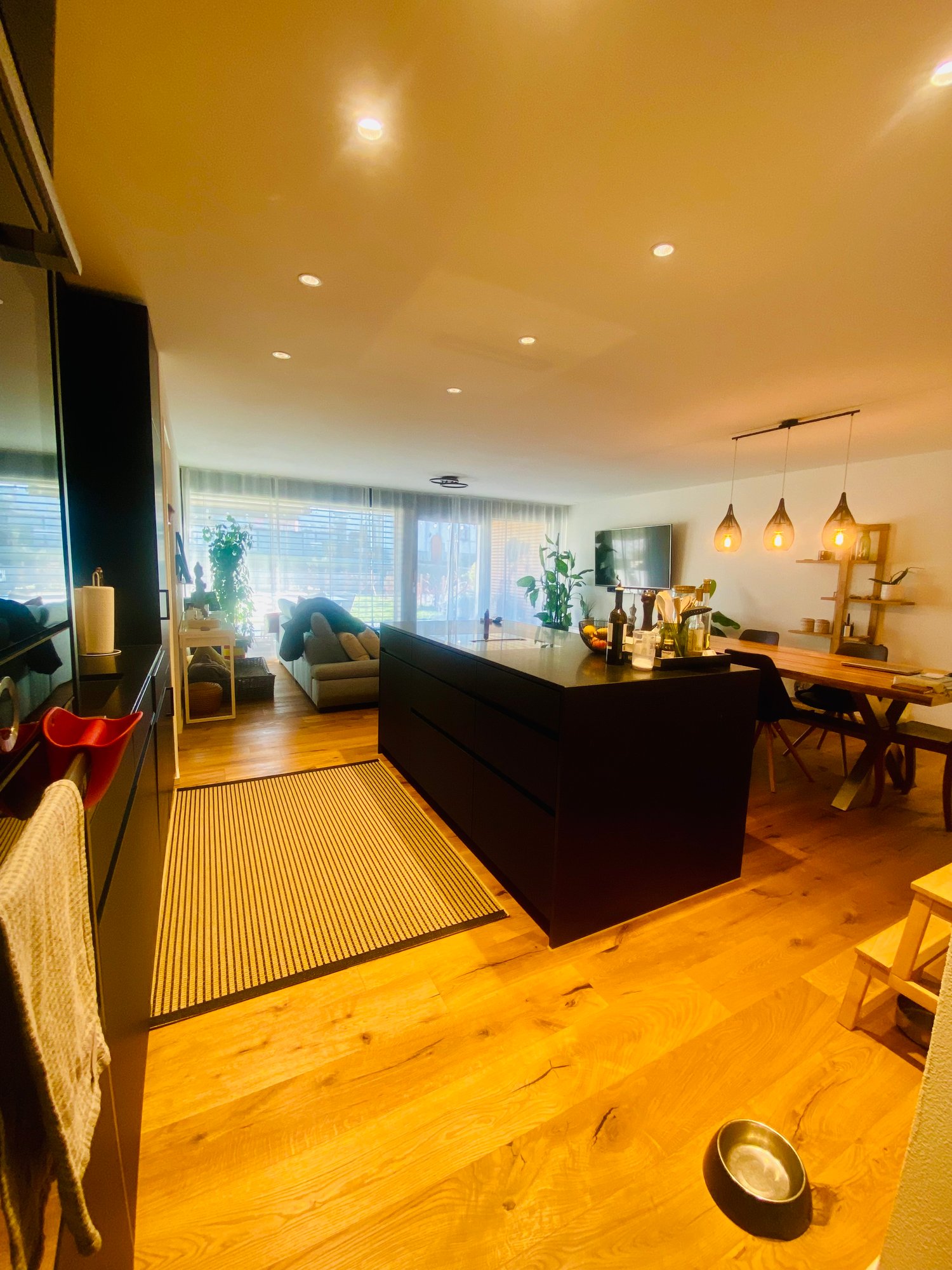 large open plan living and kitchen area, modern decor, kitchen island, dining table, living couch, wooden floor, large windows, indoor plants