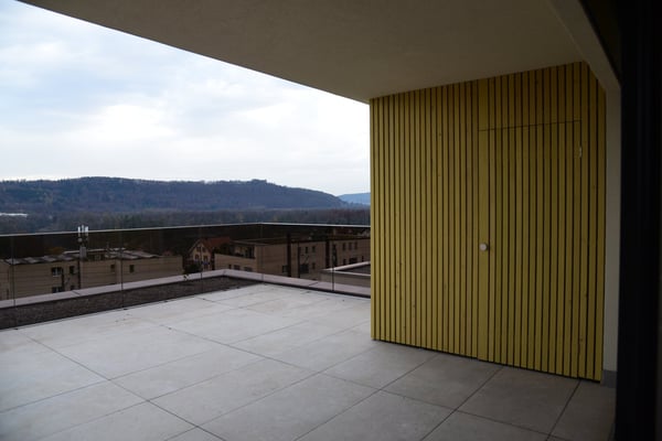 WG-Zimmer mit Terrasse & Whirlpool – Brugg 20