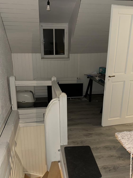 Magnifique appartement de 1 pièces avec balcon à Bienne 4