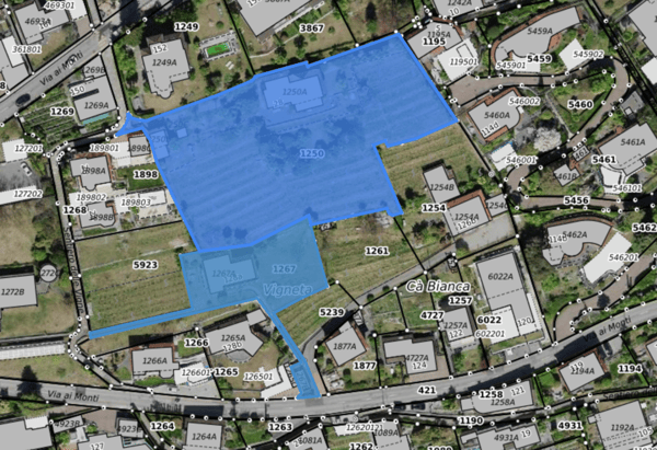 Villa, due case e terreno edificabile di 4'914 m2 con vista lago / Villa, zwei Häuser und 4'914 m2 Bauland mit Seesicht 2