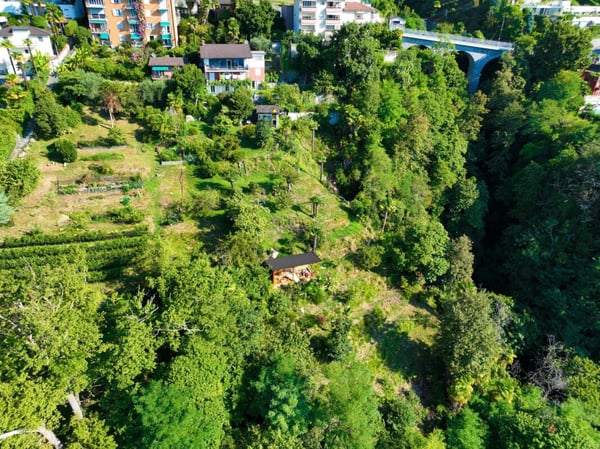 Orselina - Terreno con licenza edilizia per 21 appartamenti / Grundstück mit Baugenehmigung für 21 Wohnungen 3