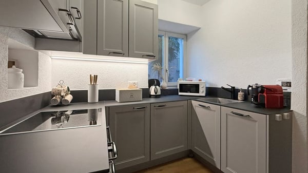 Ascona - Casa Oliva 6