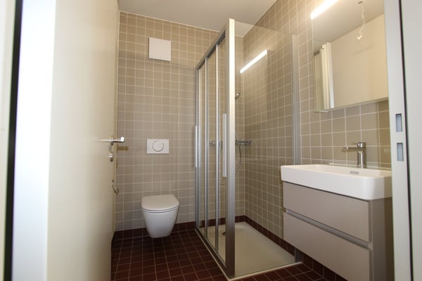 Exklusive Duplex-Attikawohnung mitten in der Stadt 8