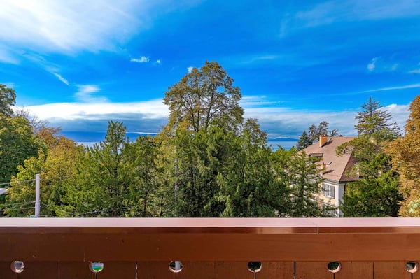 Appartement Hausmannien de 1.5 pièces avec vue imprenable sur le lac 11