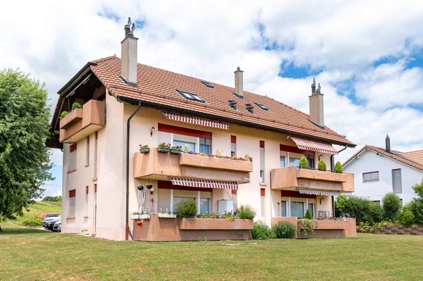 2 immeubles de rendement à vendre - Pour tout renseignements : rita@bernard-nicod.ch 1
