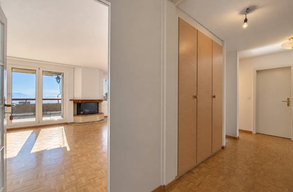 Appartement lumineux avec grande terrasse et vue panoramique sur le lac 4