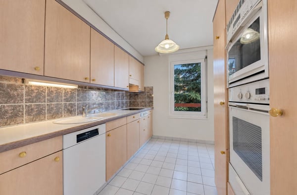 Appartement lumineux avec grande terrasse et vue panoramique sur le lac 3