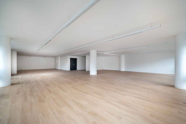 Locaux commerciaux modernes et entièrement rénovés de 129 m² et 230 m² 5