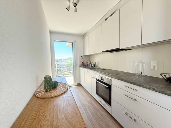 Superbe 2,5 pièces avec terrasse 5