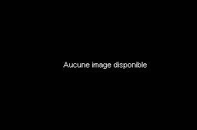 Charmant studio à 25 min du centre-ville de Lausanne 5