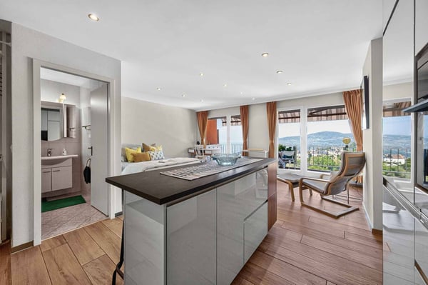 Lumineux studio meublé avec magnifique vue sur le lac 3