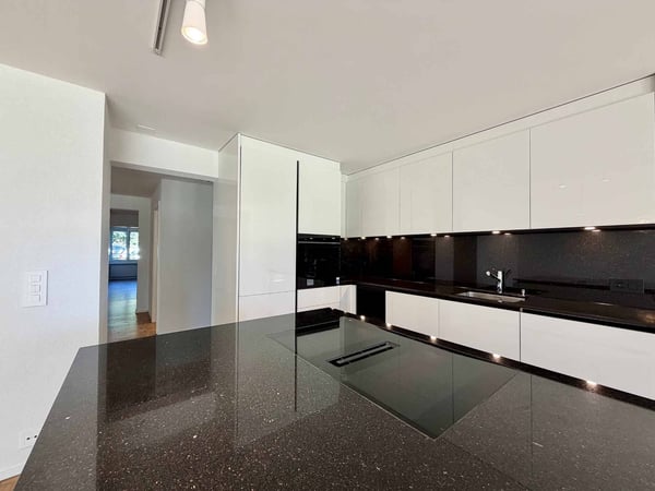 Spacieux appartement rénové de 5,5 pièces avec jardin 5