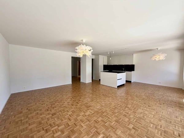 Spacieux appartement rénové de 5,5 pièces avec jardin 2