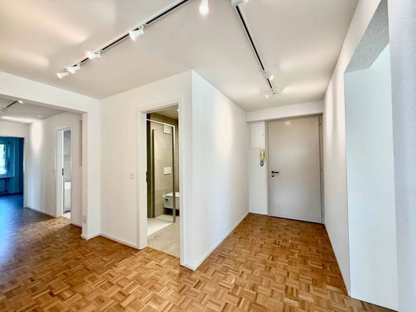 Spacieux appartement rénové de 5,5 pièces avec jardin 6