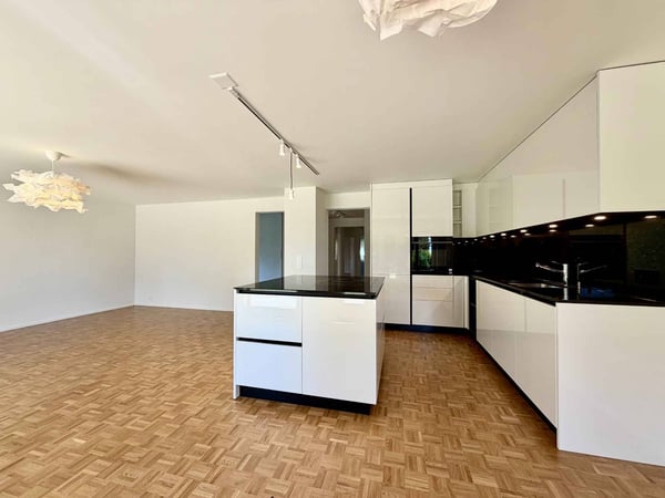 Spacieux appartement rénové de 5,5 pièces avec jardin 3