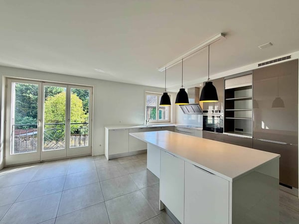 Appartement lumineux et rénové de 4,5 pièces avec terrasse 1