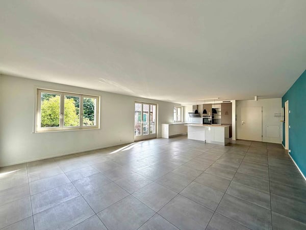 Appartement lumineux et rénové de 4,5 pièces avec terrasse 5