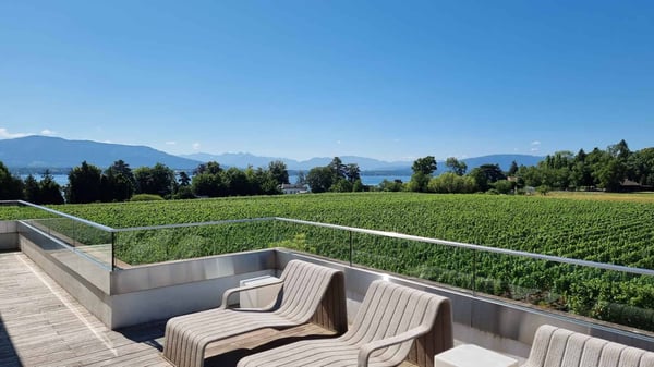 Somptueuse propriété avec piscine et vue panoramique sur le lac 4