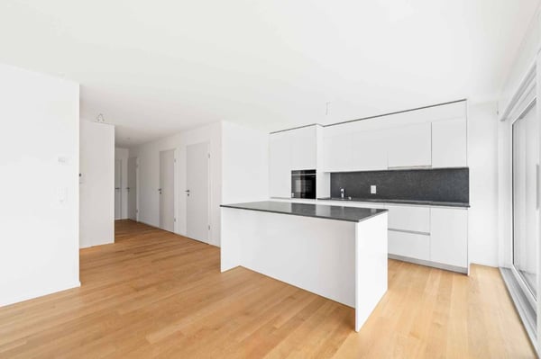Magnifique attique neuf de 4.5 pièces Rooftop exclusif 2