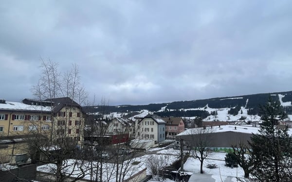 Immeuble de rendement mixte ! 2