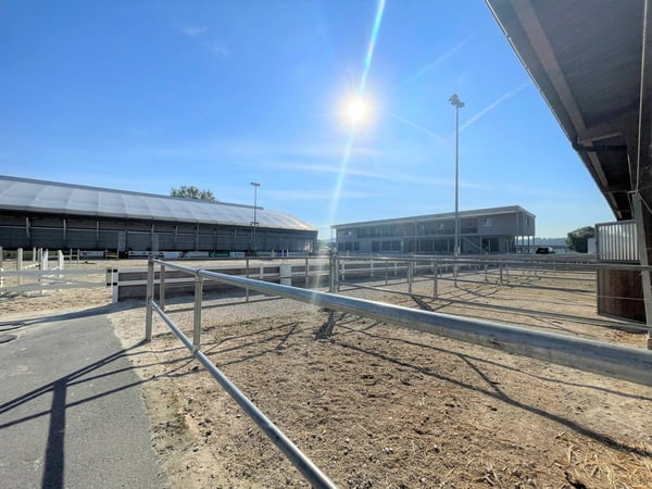 Magnifique centre équestre aux diverses facettes ! 6