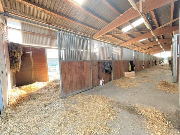 Magnifique centre équestre aux diverses facettes ! 12