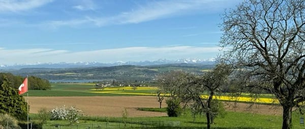 Nouvelle promotion - Le chantier a démarré : local commercial avec terrasse 3