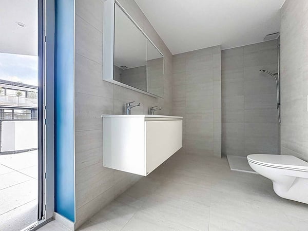 Nouvelle promotion : attique de 1.5 pièces avec rooftop terrasse 7